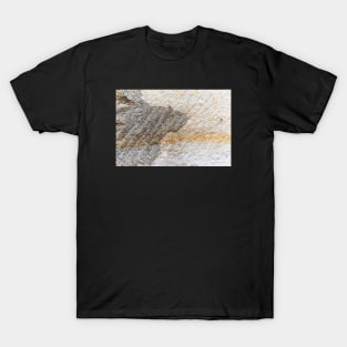 Stone Wall Falling Apart From Crack T-Shirt